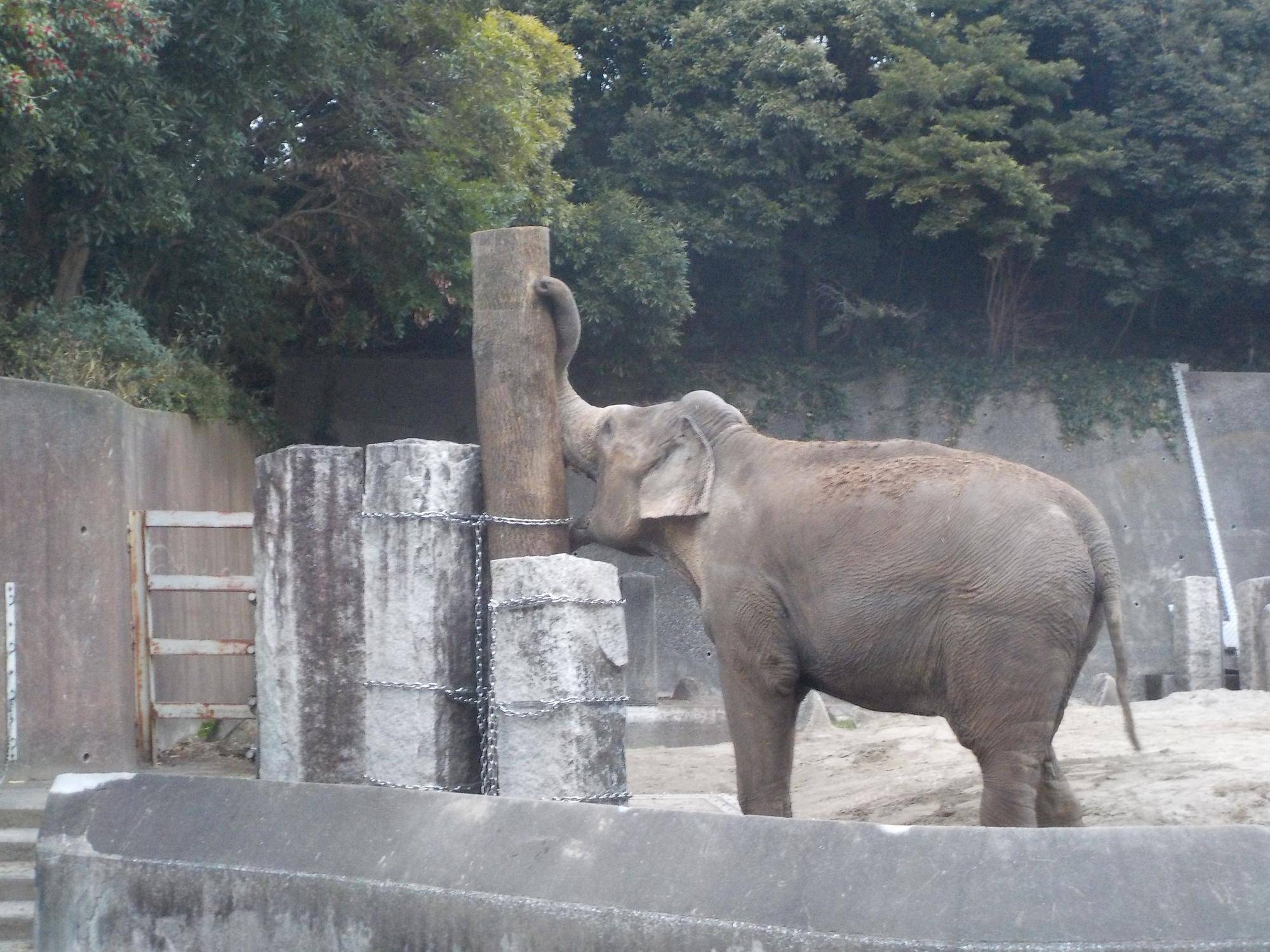 結果オーライの写真