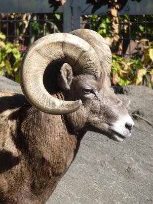 ヨッチャン久しぶりの展示場