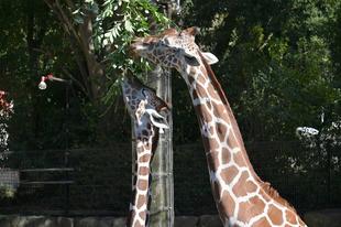 ２歳になりました！