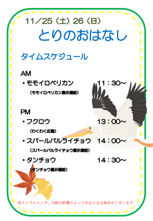 とりのおはなしのおはなし