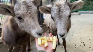 あけましておめでとうございます！