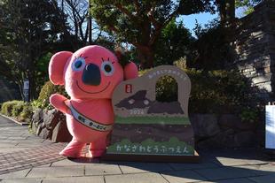 あけましておめでとうございます