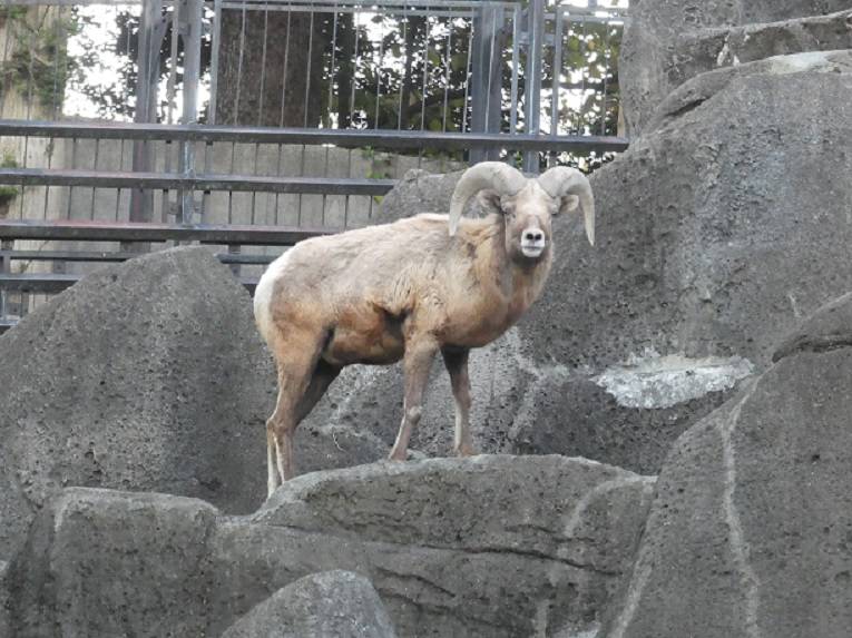 おいしいエサがでてくるよ♪の写真