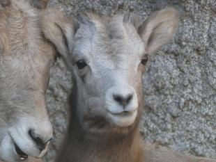 大きくなりました!②