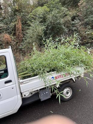 動物園の野良仕事(野に良いしごと)ゾウ担当編