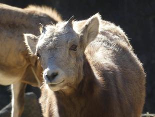 大きくなりました!①