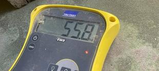 【動物クイズ 中級編】の回答発表!!