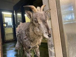 ウランの近況報告