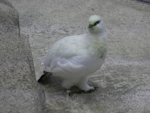 ありがとうございました!!