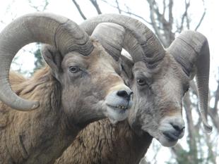 夕方が狙い目・・・!?