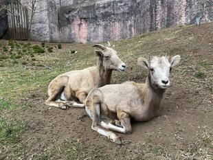 いろんな座り方