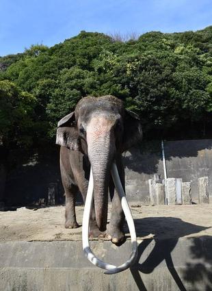 「絵本の動物に会いに行こう!」を開催しました