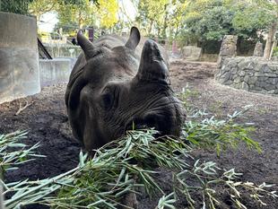 友の会例会を行いました!