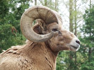 ヨッちゃんの1日