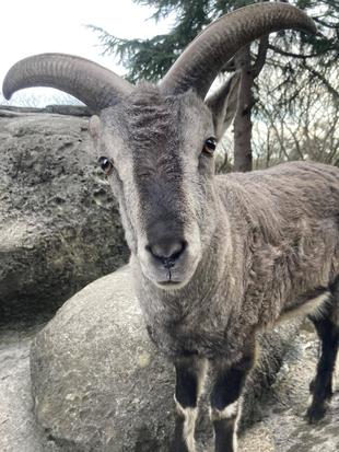 乳歯が抜けました