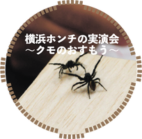  横浜ホンチの実演会～クモのおすもう～の画像