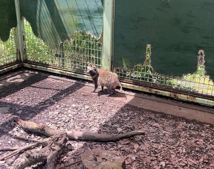 元気にお里に帰るまで②の写真
