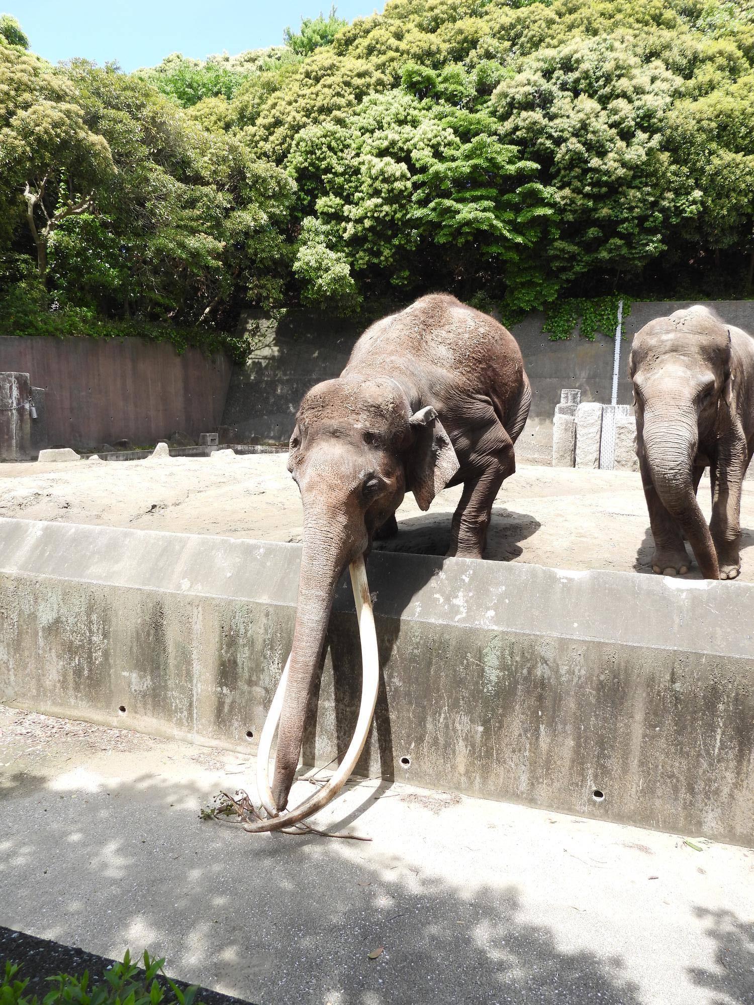 あぁー!の写真