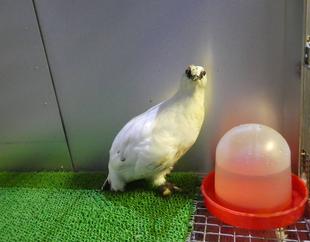 一方そのころ・・・