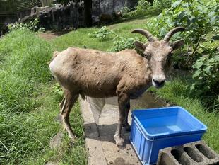 流行りのファッション！？