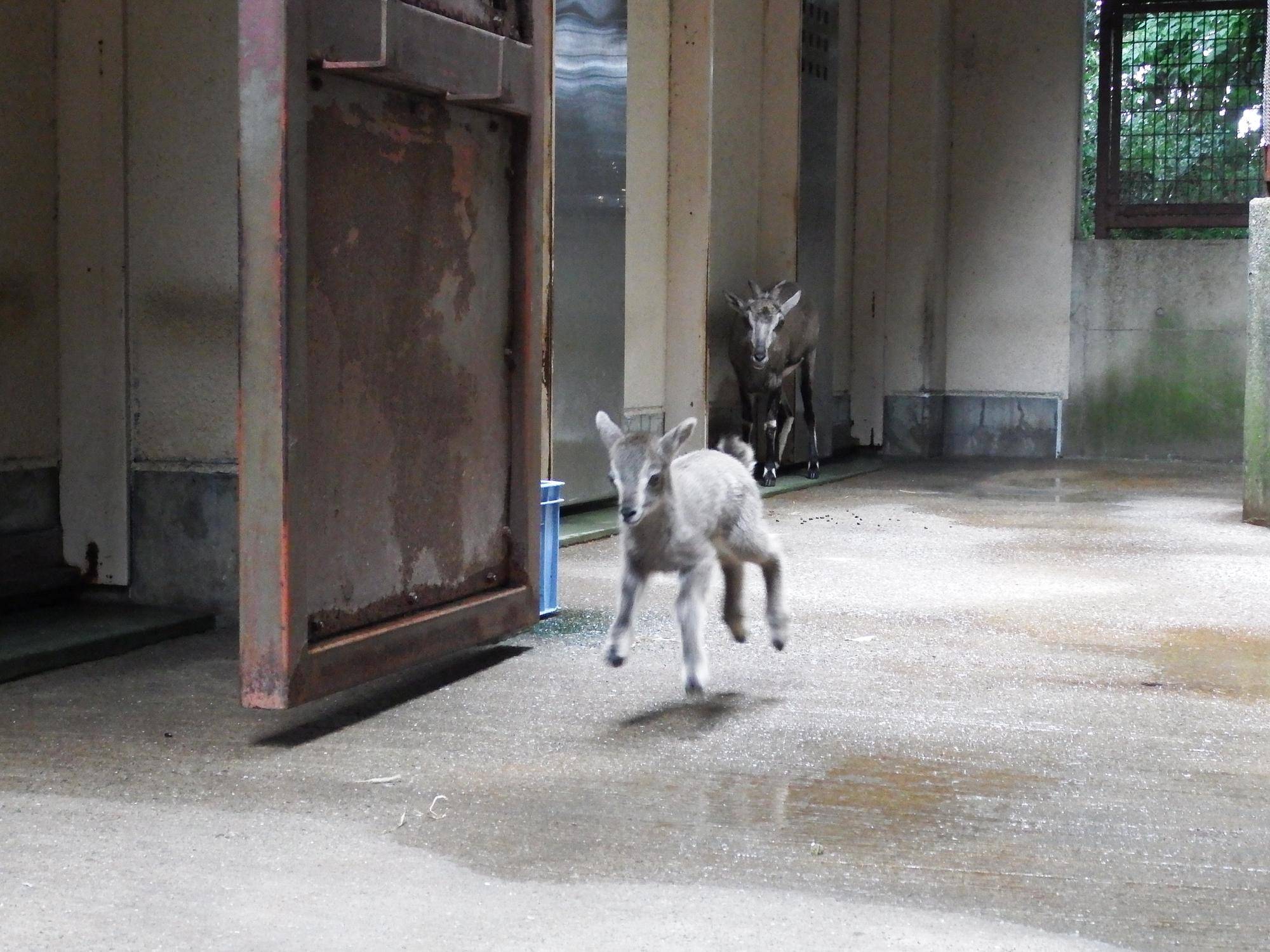実は...②の写真