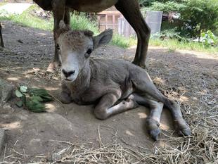 大人への第一歩①