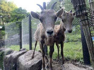 それ、なぁに？