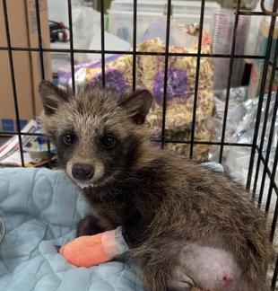 元気になったよ