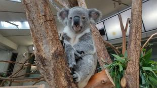 みんな元気です