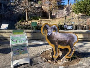 等身大パネルを作りました！！