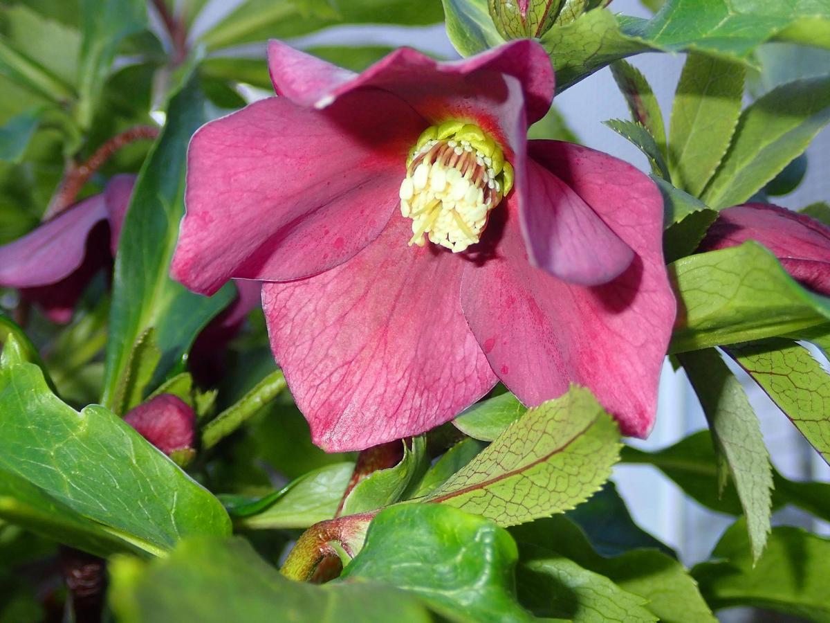 559e267b2d9ccd8b5b15715e041522