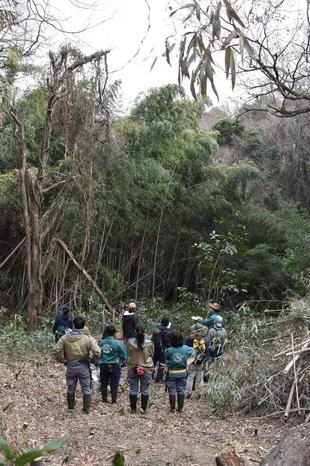 【イベント報告】野良しごと体験～山の手入れをしよう～
