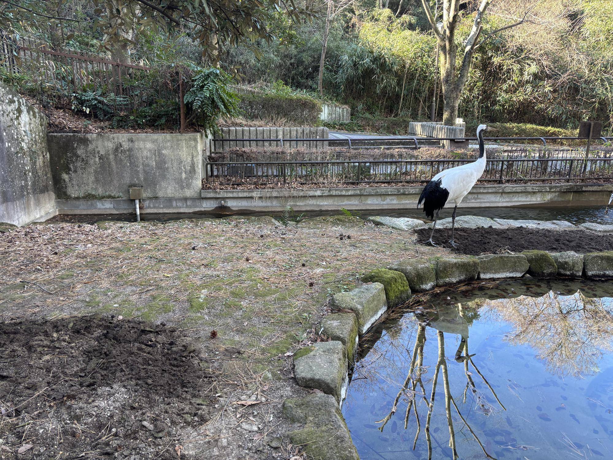 地面、掘り返してみました。の写真