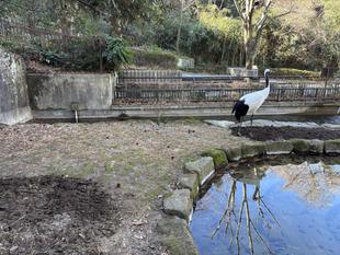 地面、掘り返してみました。
