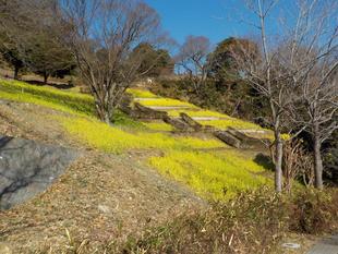 自然公園の風物詩