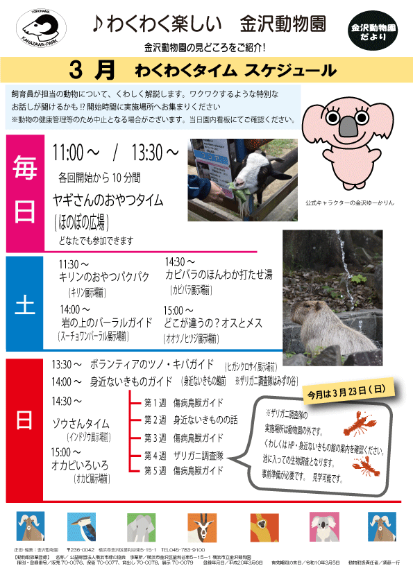 金沢動物園だより2025.3裏.gif