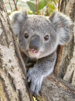 帰ってきました!
