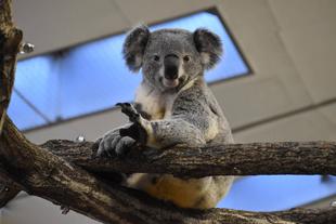 ハリーおめでとう!!