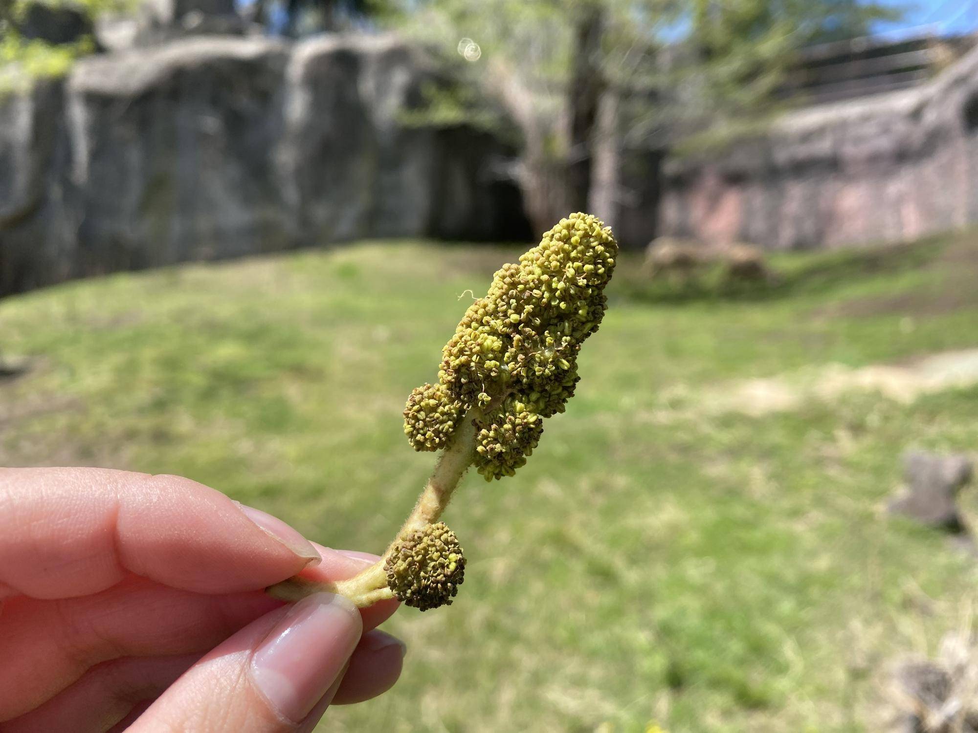 落とし物の写真