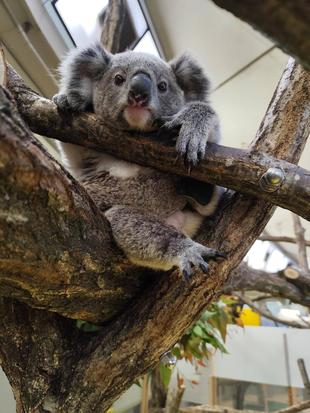 落ちつく座り方