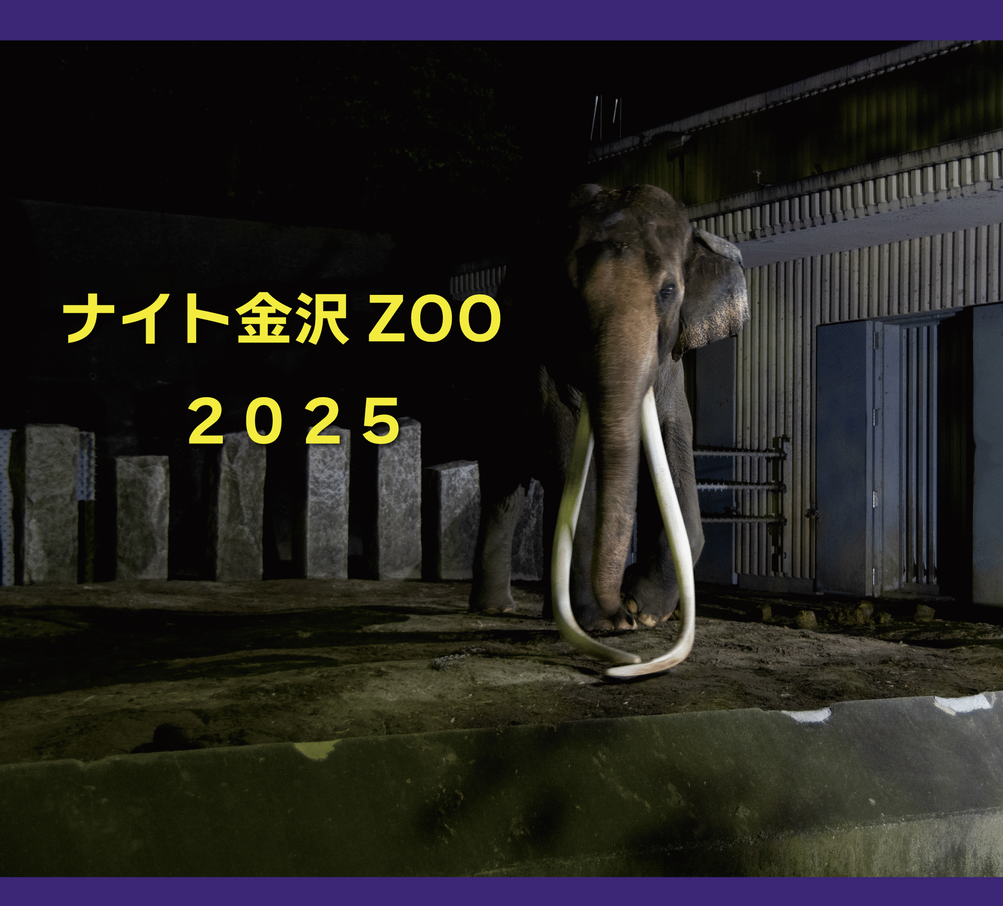 ナイト金沢ZOO今年も開催します☆の写真