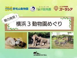 2026「魅力発見！横浜３動物園めぐり」の画像