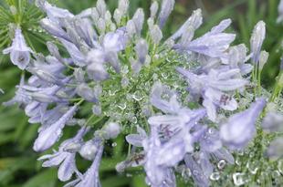 雨の日「も」金沢自然公園へ・・・