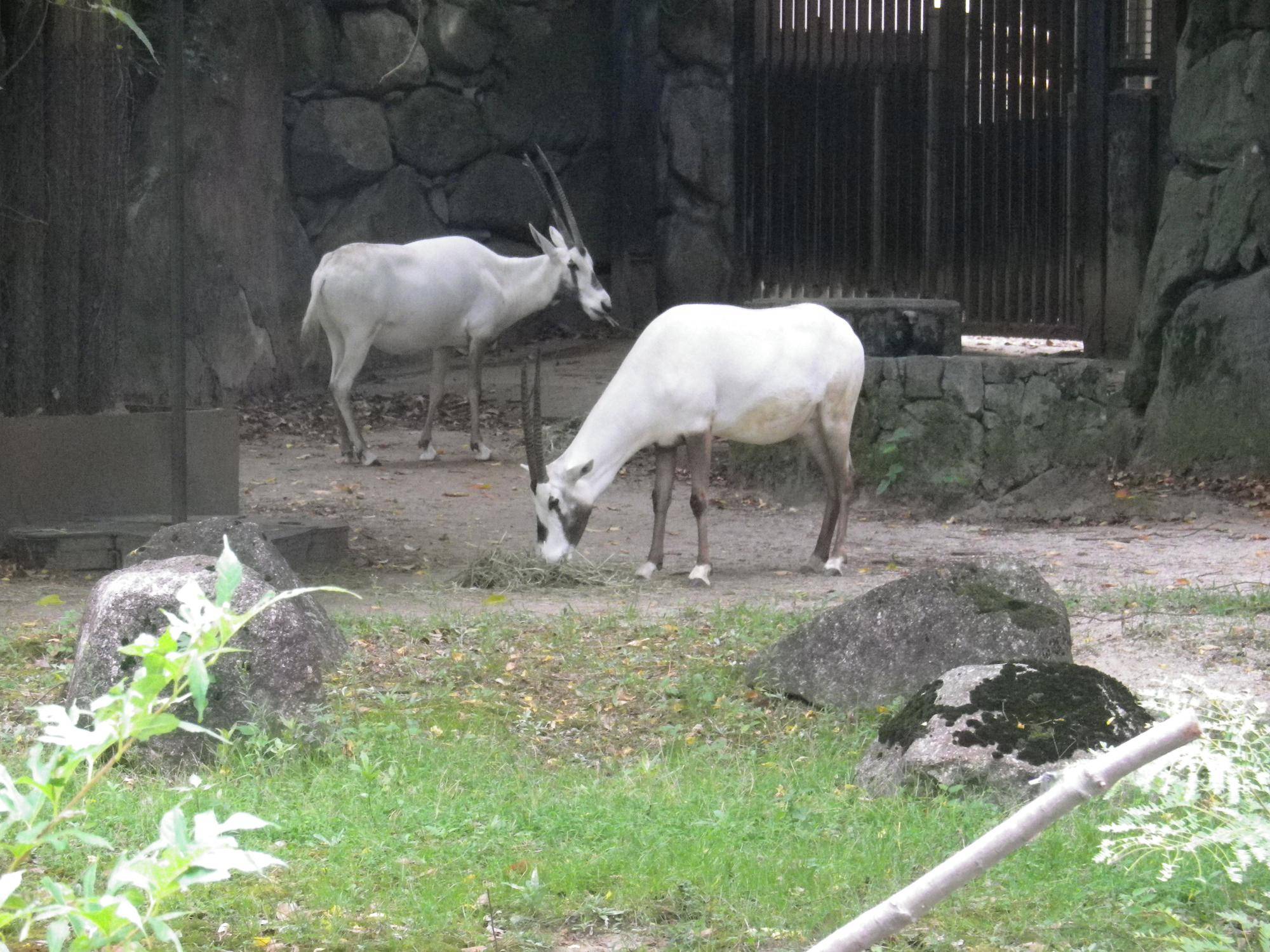 先は長そうですの写真