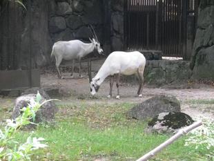 先は長そうです