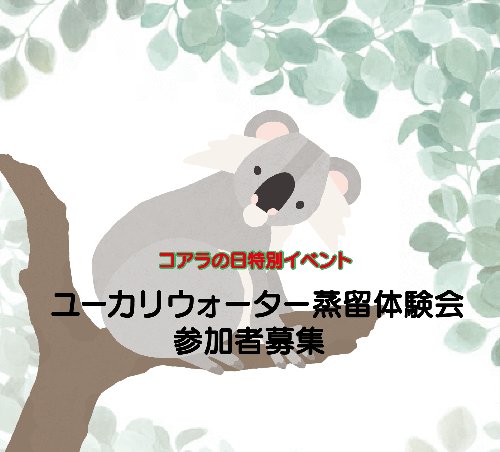 🐨コアラの日特別イベント「ユーカリウォーター蒸留体験会」参加者募集🐨の写真