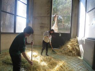 「金沢動物園 ペアで飼育体験」参加者募集