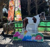  動物園でお正月2026🎍 の画像