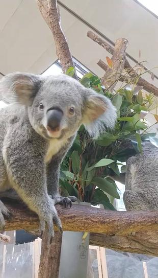 ひなぎくポストへお手紙をくださったみなさま