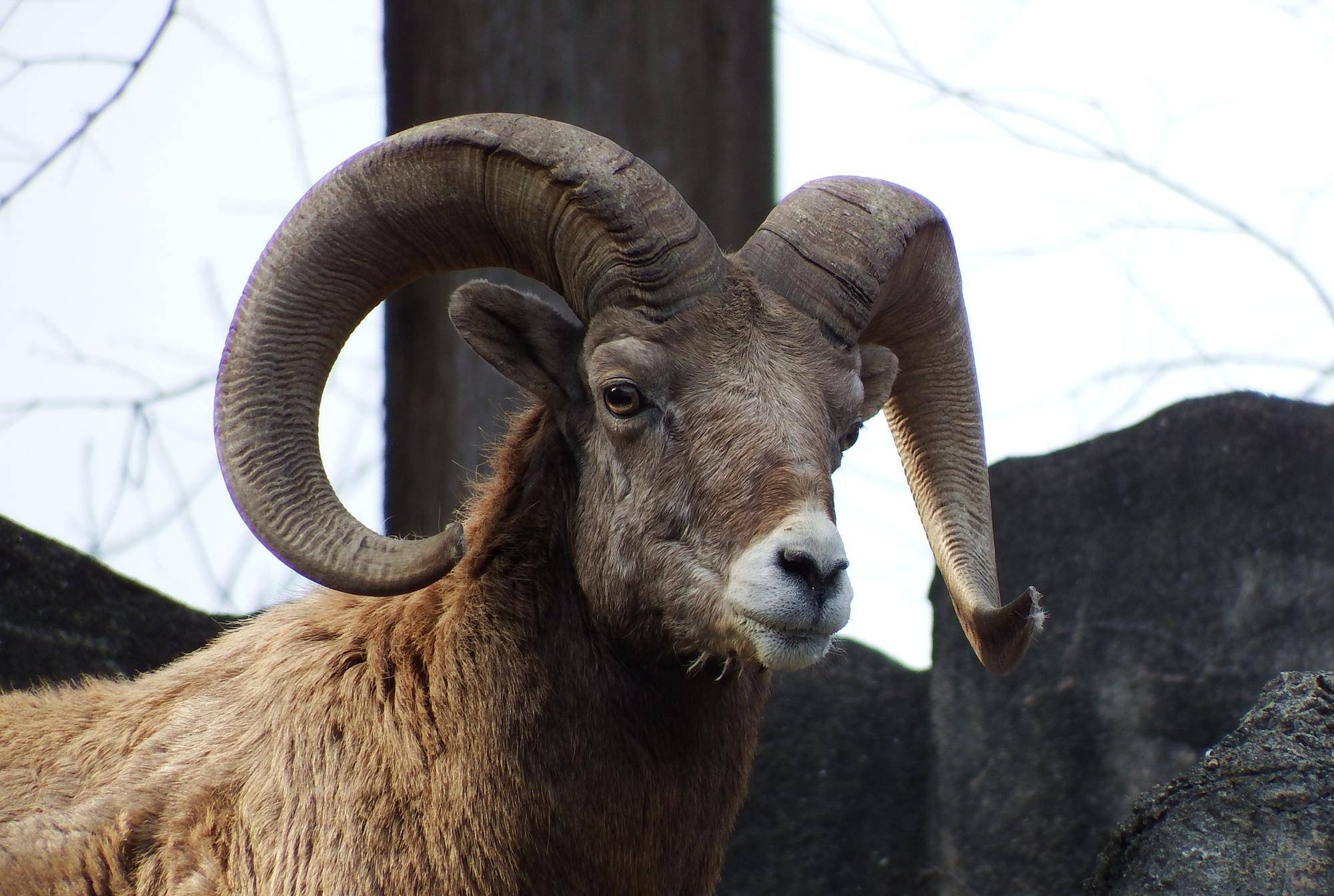 あけましておめでとうございます！の写真